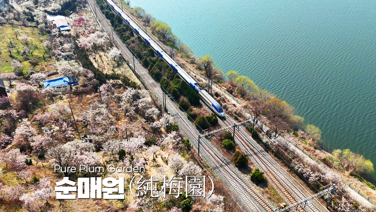 순매원(純梅園)