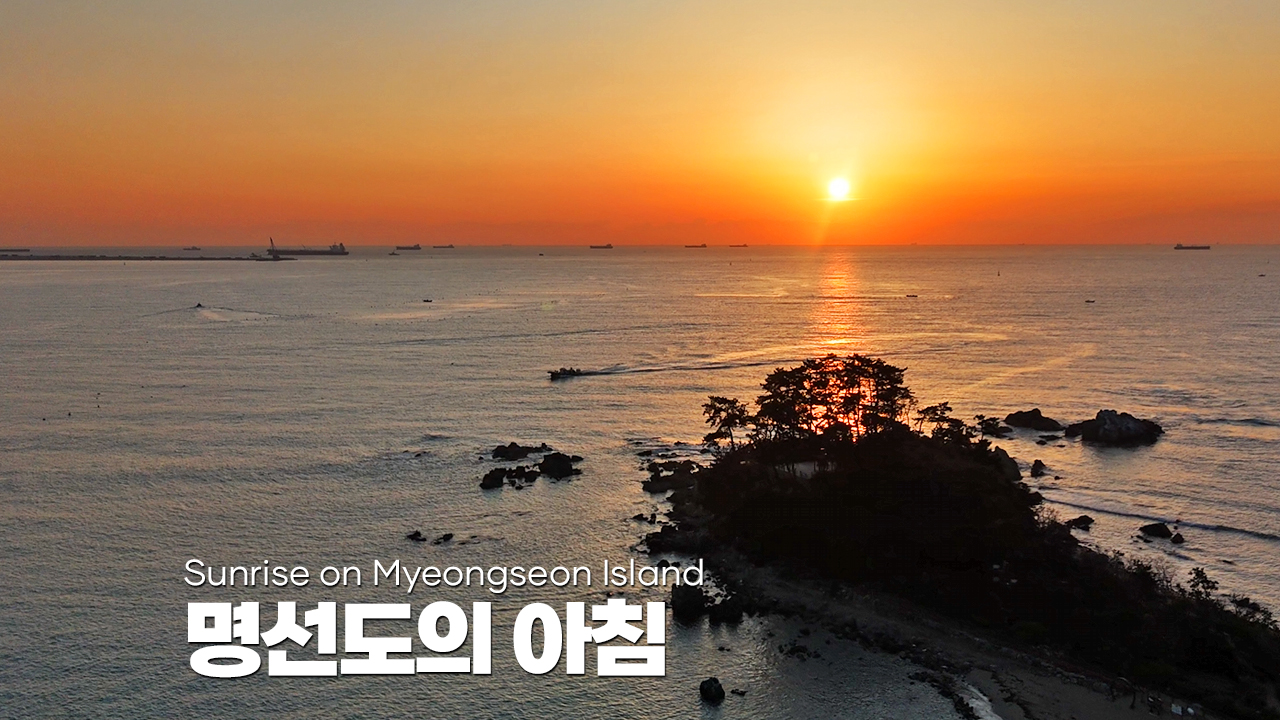 명선도의 아침