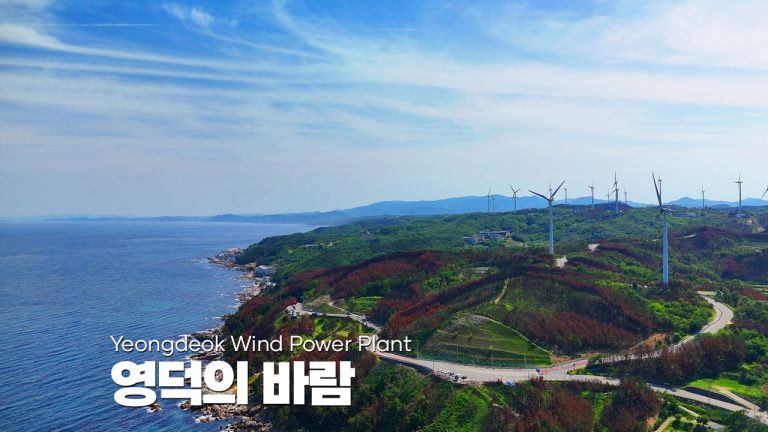 영덕의 바람